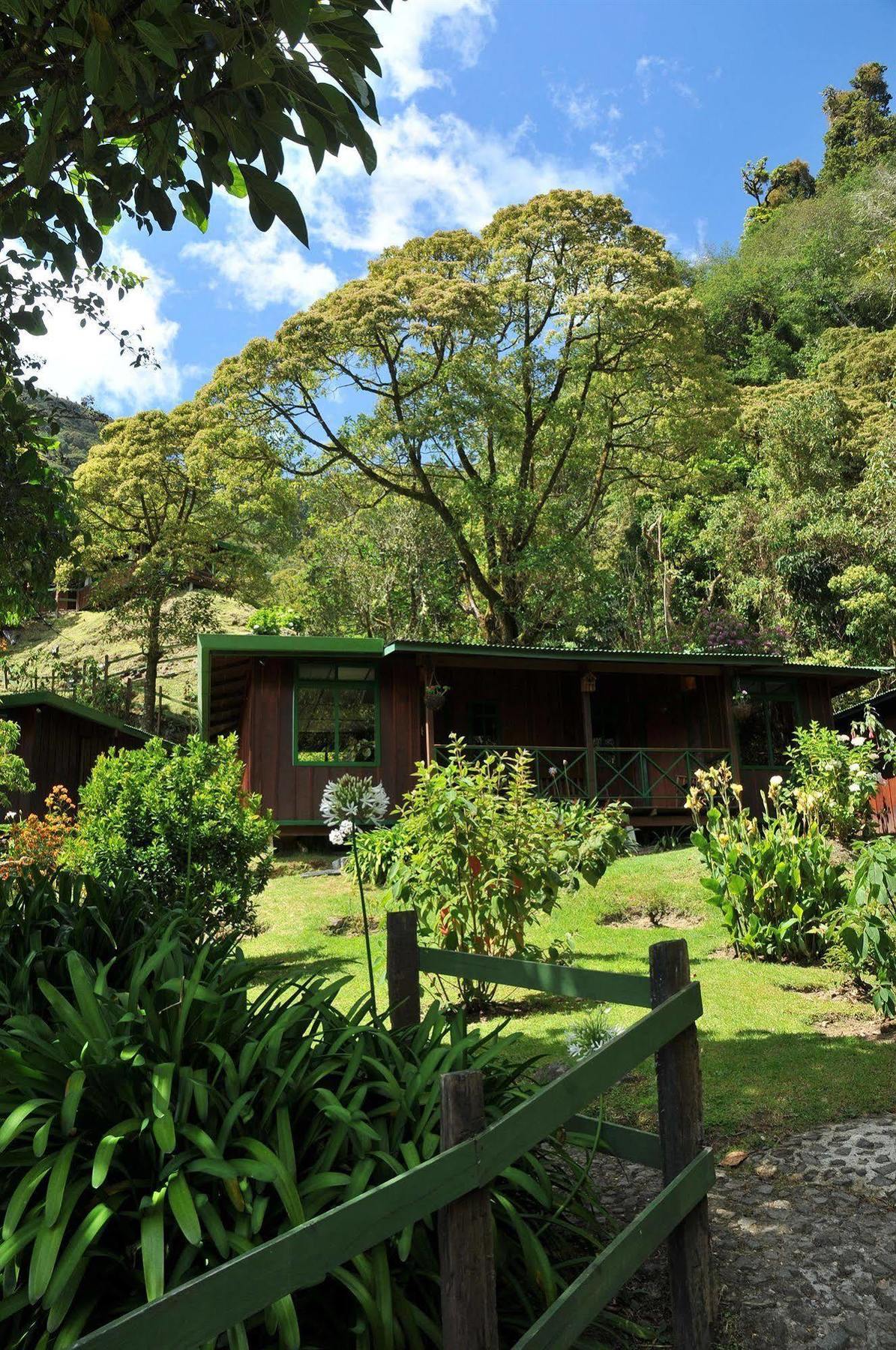 Trogon Lodge San Gerardo de Dota Exterior foto